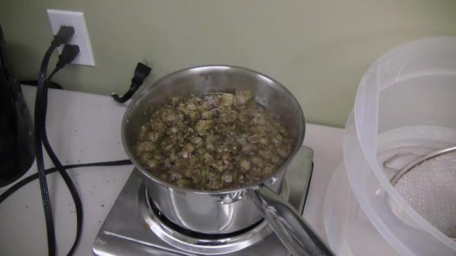 Boiling hops